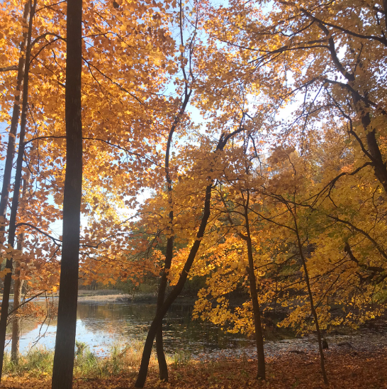 Fall Climate Outlook 2026