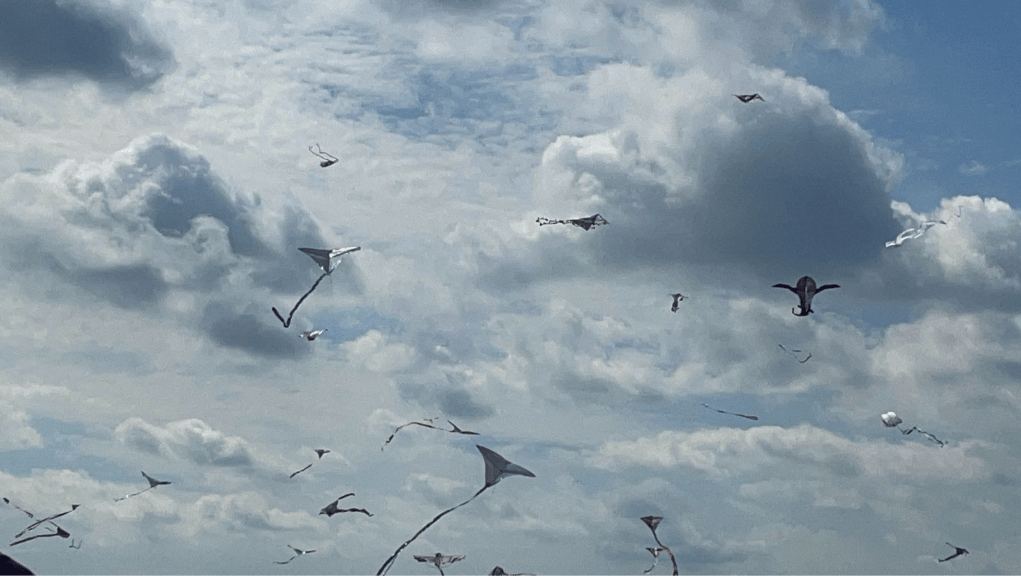 This photo of flying kites was taken during the 12:00/noon Kite Launch.