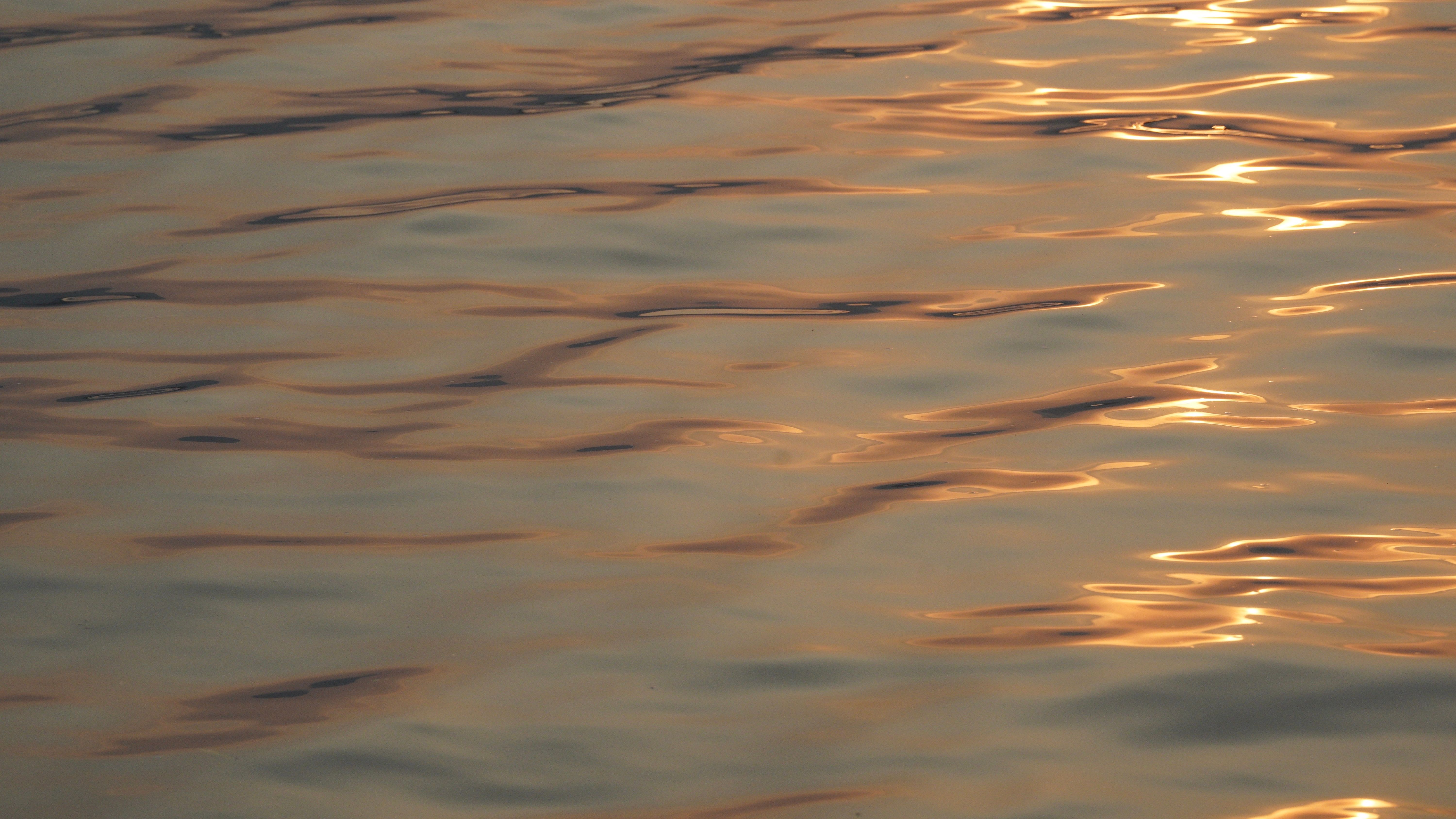 很喜欢西湖的水【转自:狮子狮子鱼】