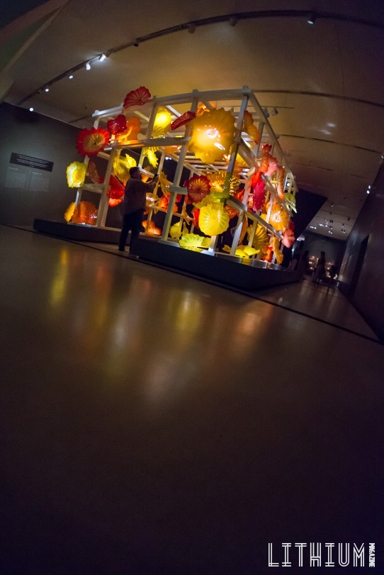 Lithium_DSC05190_w