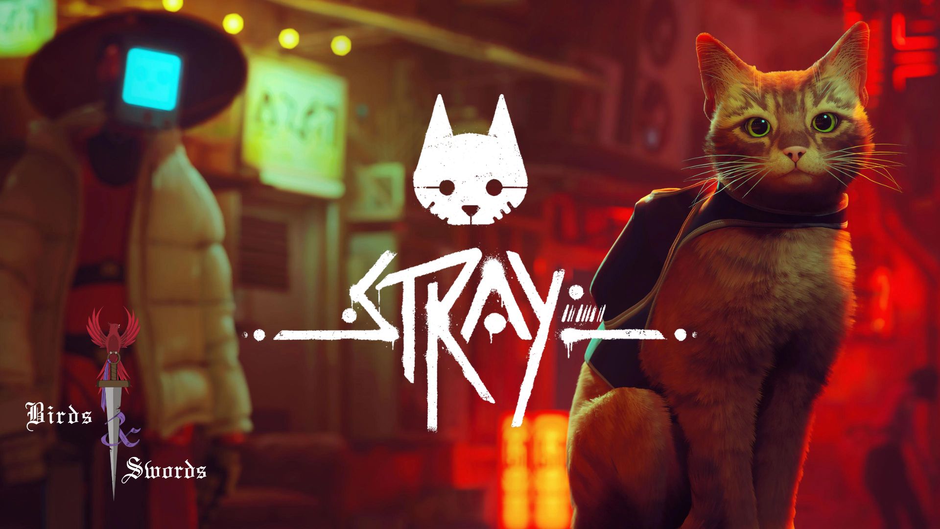 stray_review.jpg?fit=1920,1080