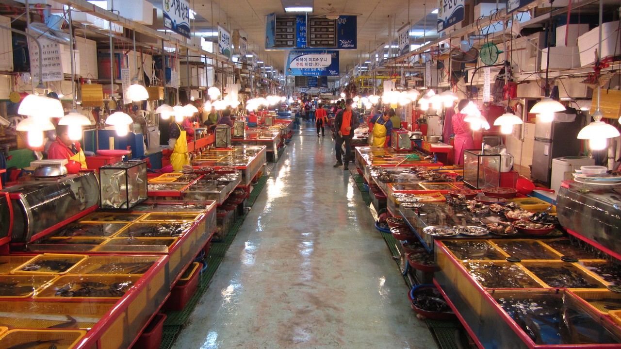 IMG_1469
