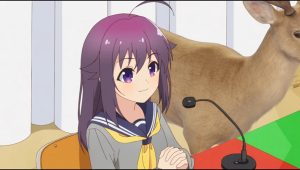 
                                                Shikanoko Nokonoko Koshitantan Episode 12 [END]
                                            