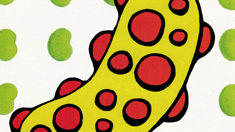 larry marder's tales of the beanworld comic book cover