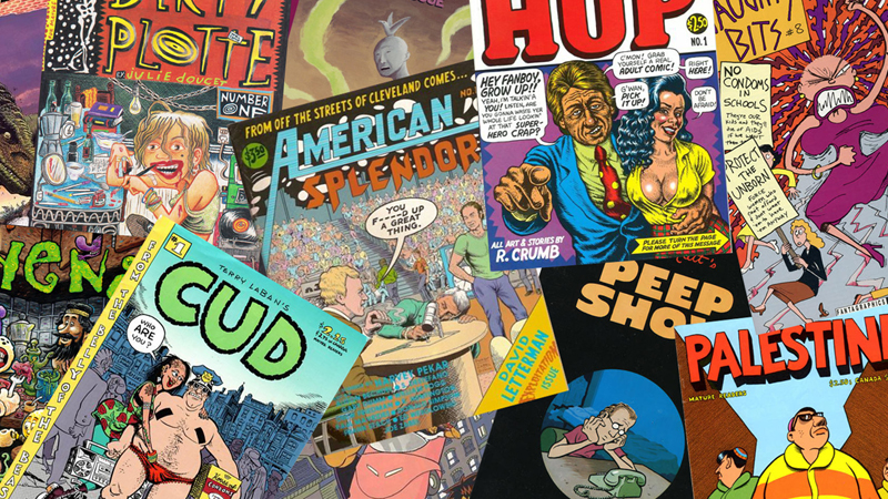 a selection of alternative comics from the 1990s, including robert crumb, joe matt, joe sacco, roberta gregory, julie doucet, chester brown, terry laban and stephen bissette
