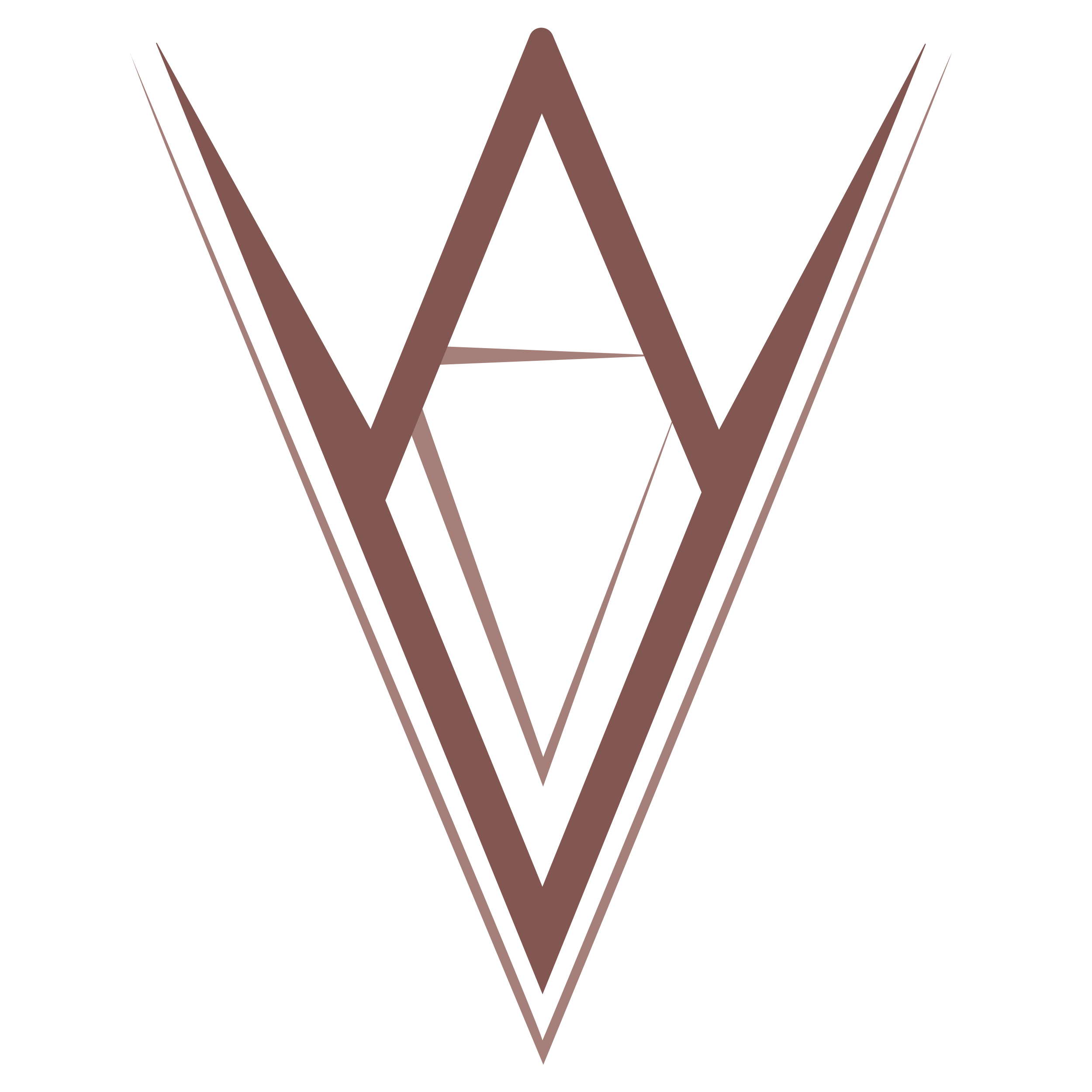Veritas Amare Studio