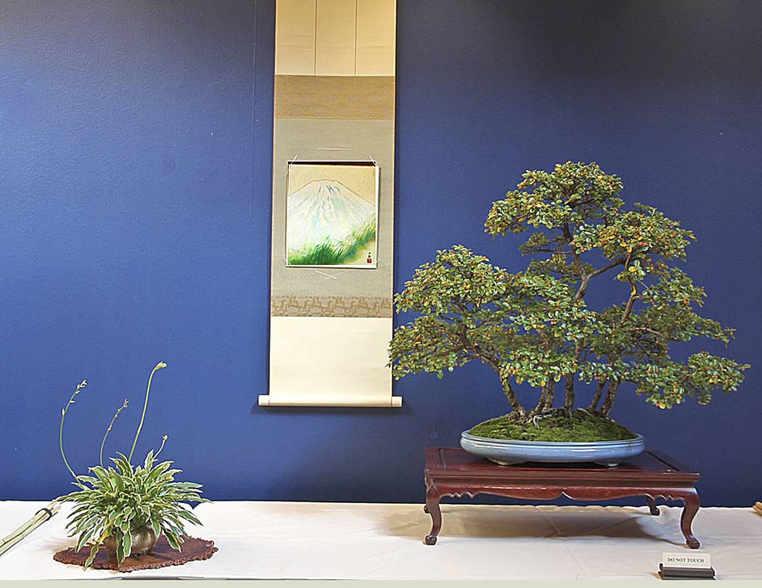 2013 Midwest Bonsai Show Bonsai Preparation Valavanis Bonsai Blog