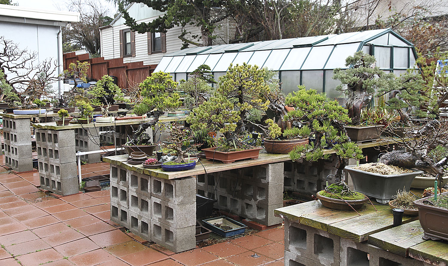 A visit To Bonsai Boon & A Suiseki Collection – Valavanis Bonsai Blog