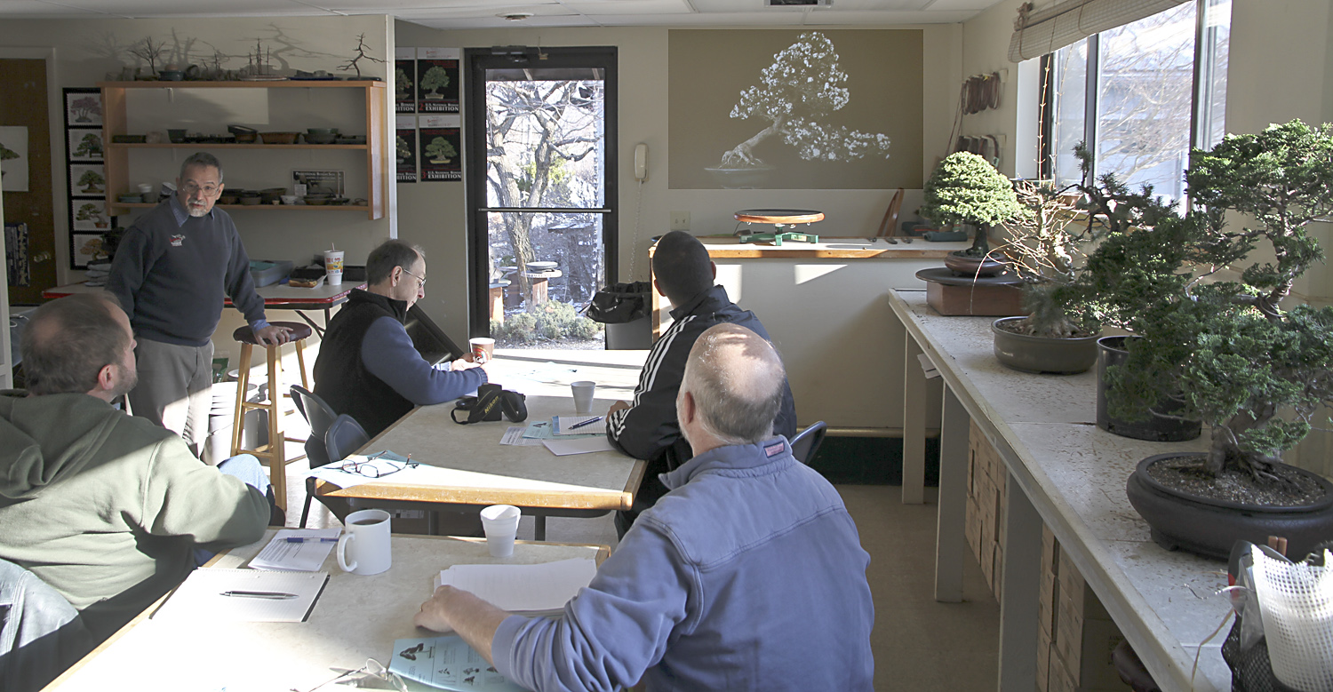 Classical Bonsai MasterClass Session 1 Valavanis Bonsai Blog