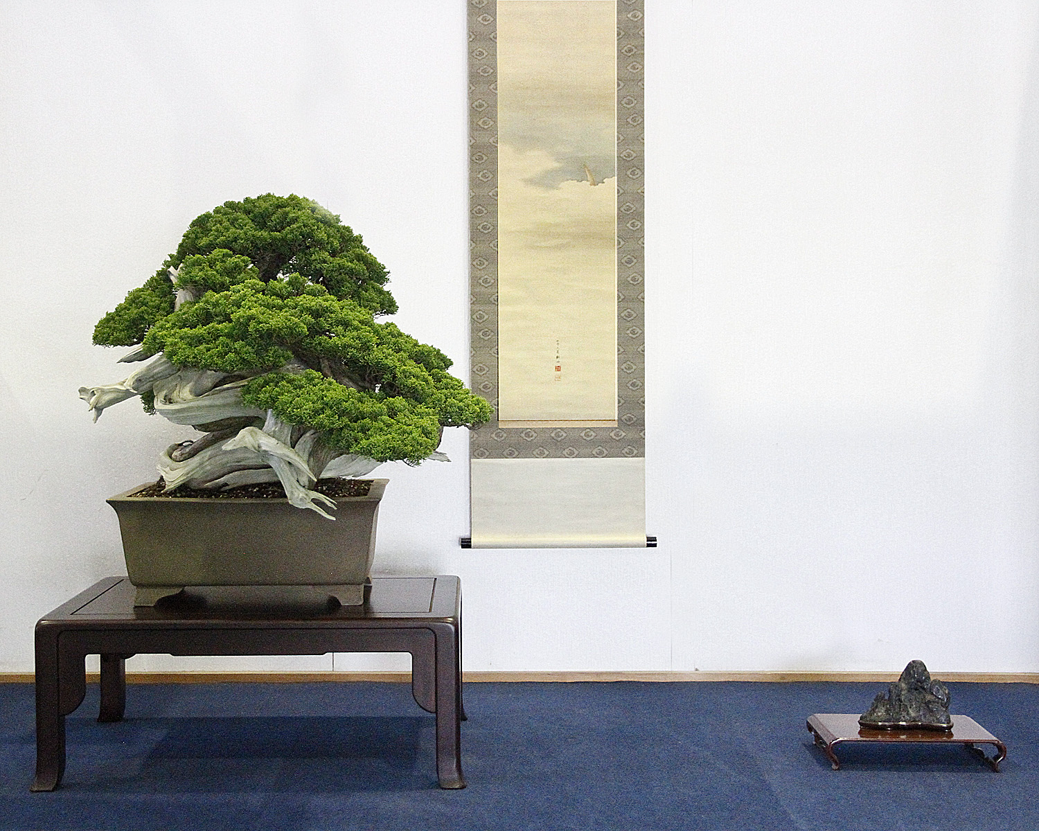 japan Satsuki Bonsai Tour Part 7 Valavanis Bonsai Blog