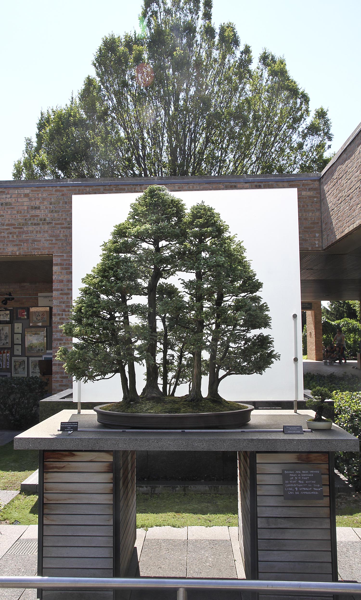 CHICAGO BOTANIC GARDEN BONSAI COLLECTION Valavanis Bonsai Blog