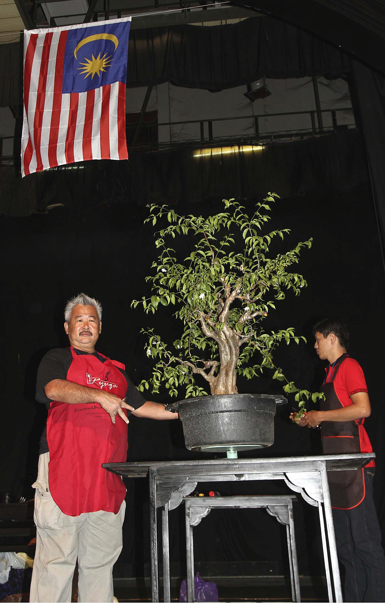 International Bonsai Art & Culture Biennial 2014– Part 2