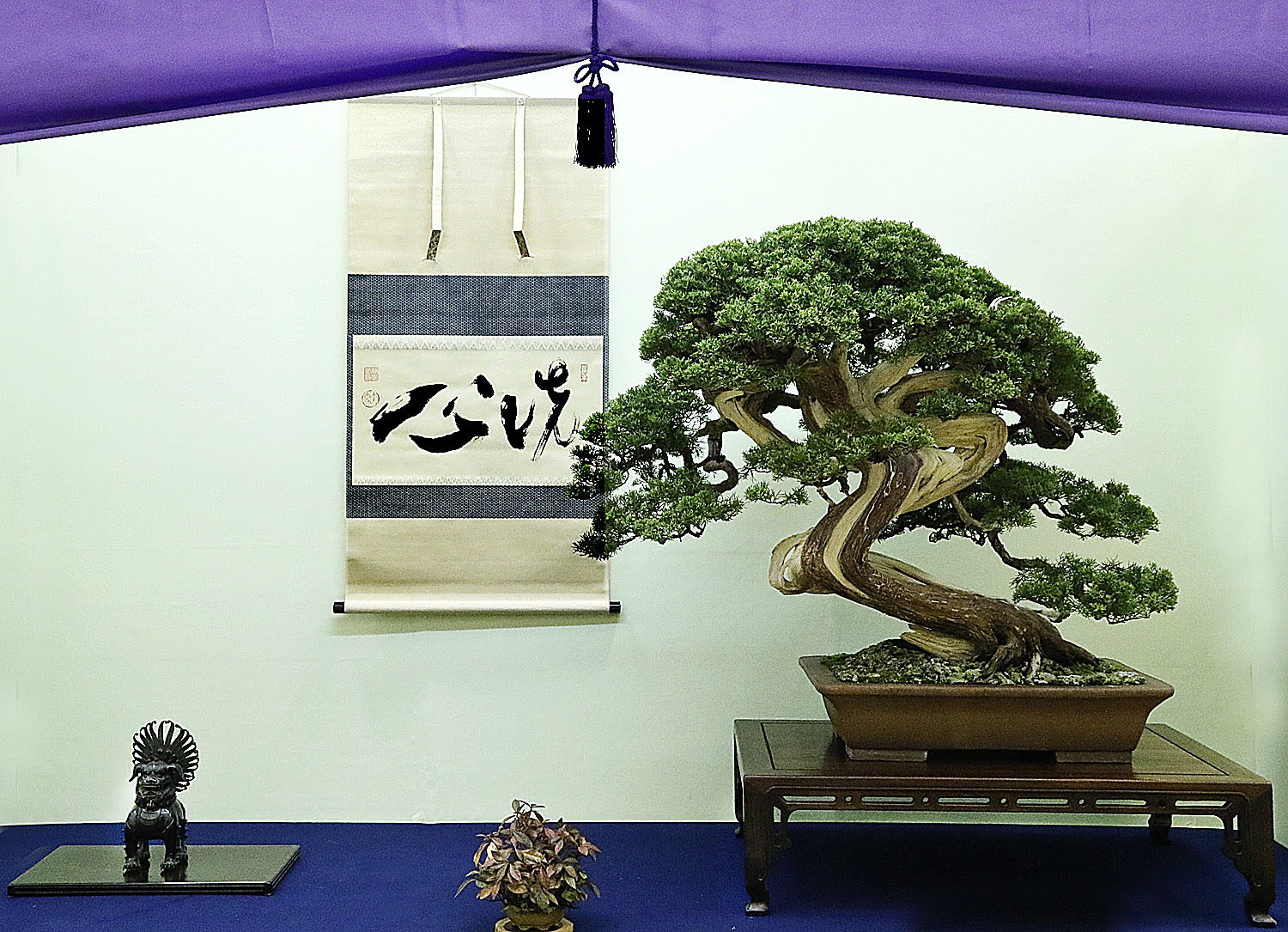AUTUMN 2014 JAPAN BONSAI EXPLORATION– Part 3 – Valavanis Bonsai Blog