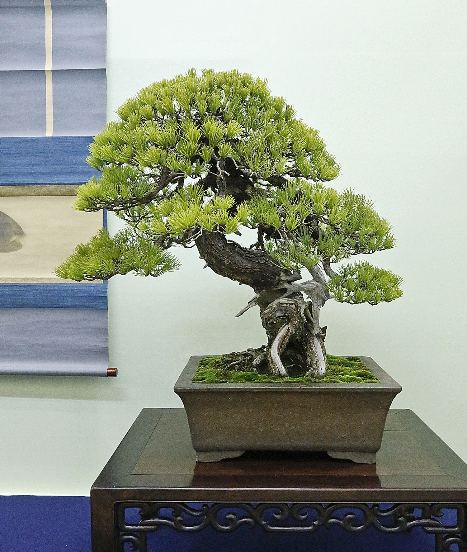 AUTUMN 2014 JAPAN BONSAI EXPLORATION– Part 4 – Valavanis Bonsai Blog