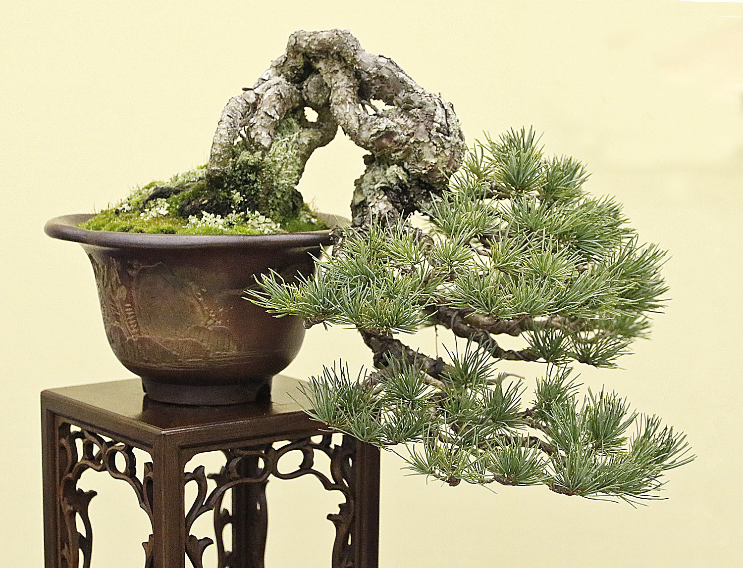 AUTUMN 2014 JAPAN BONSAI EXPLORATION– Part 4 – Valavanis Bonsai Blog