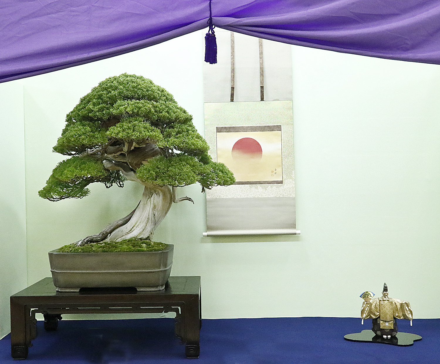 AUTUMN 2014 JAPAN BONSAI EXPLORATION– Part 3 – Valavanis Bonsai Blog