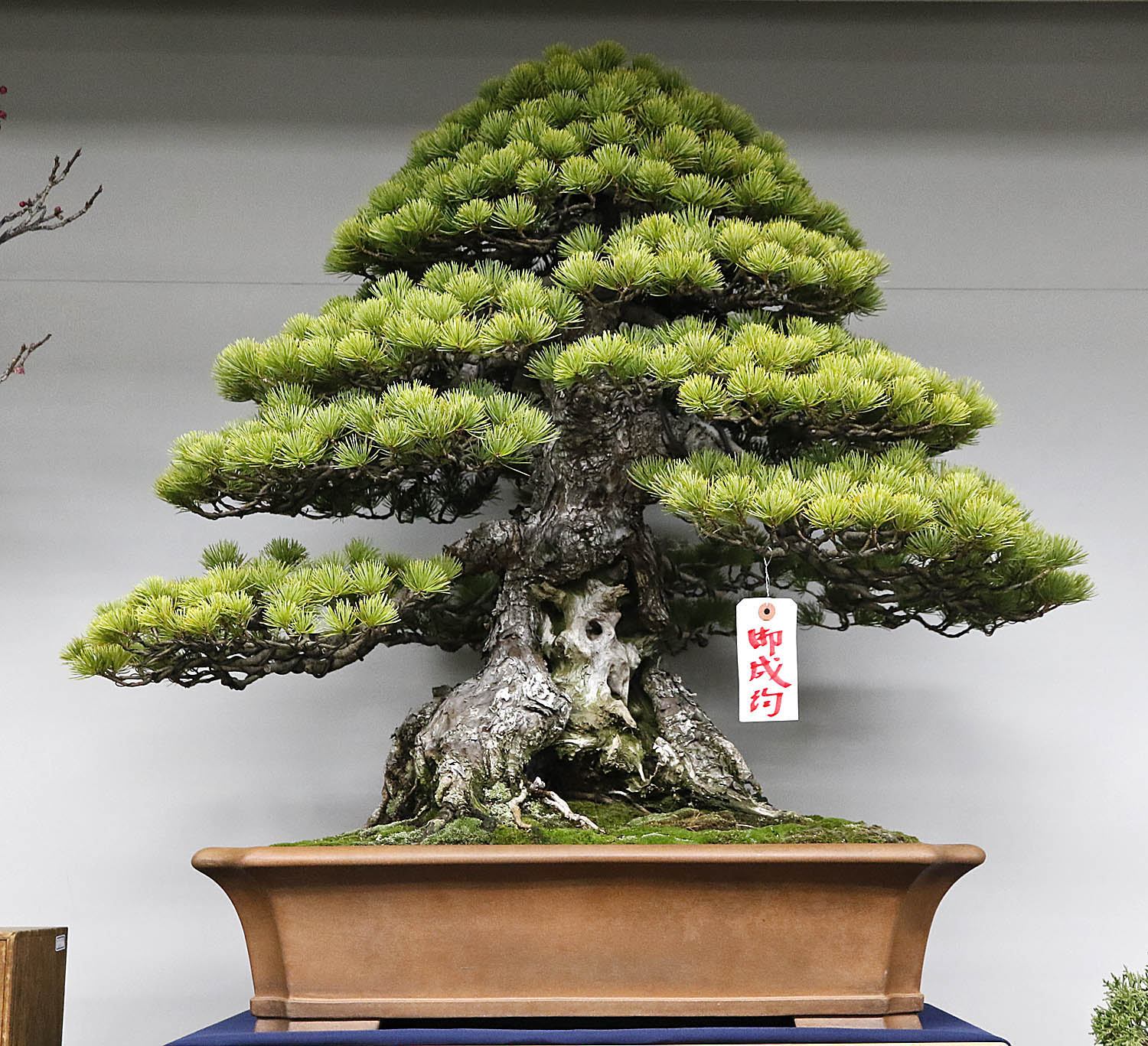 【ueno】 UENO3153 - All You SHOULD Know Before Going 2026 (with Reviews)