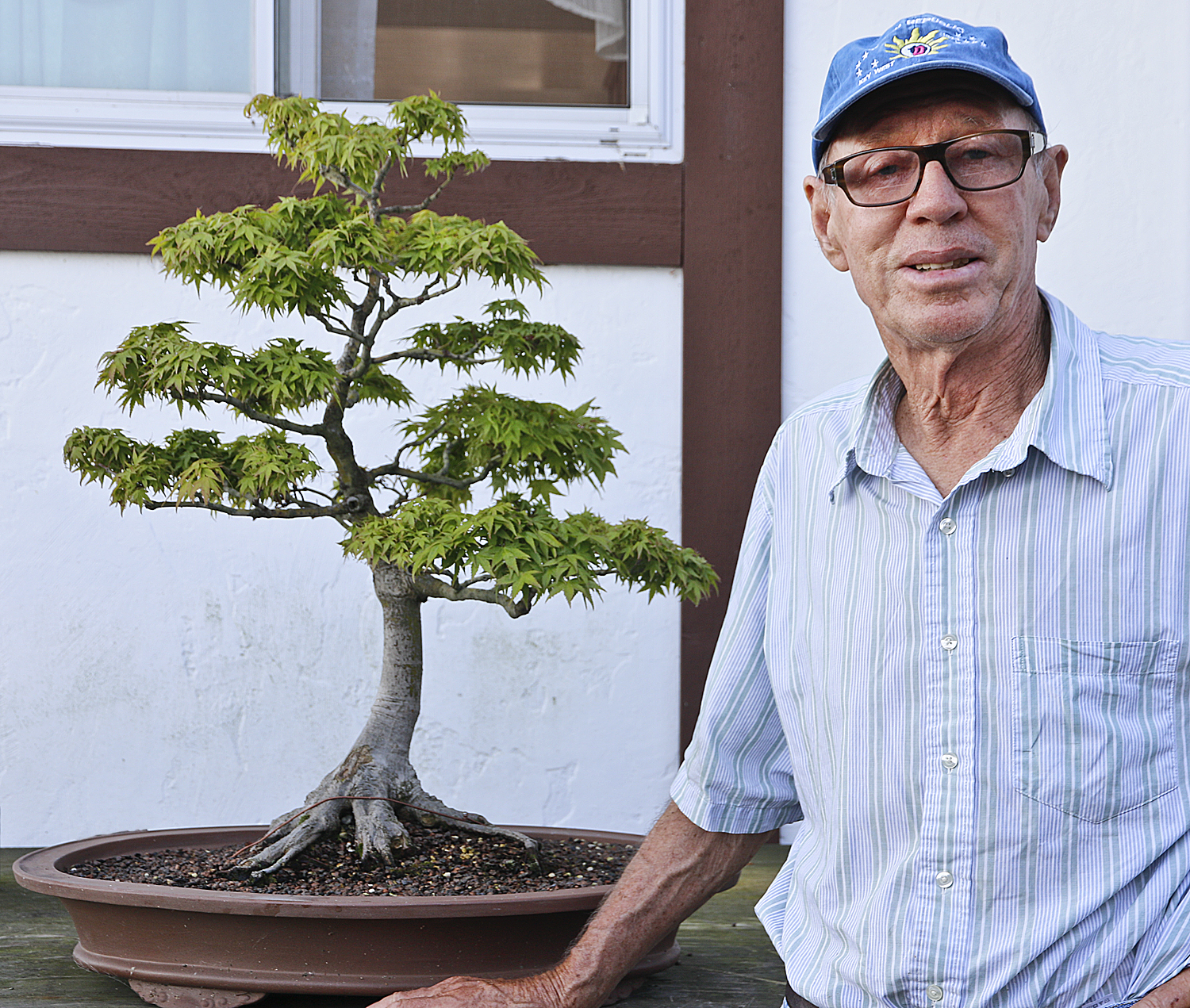 Meet Clive Taylor– A Master of Koto Hime Japanese Maple