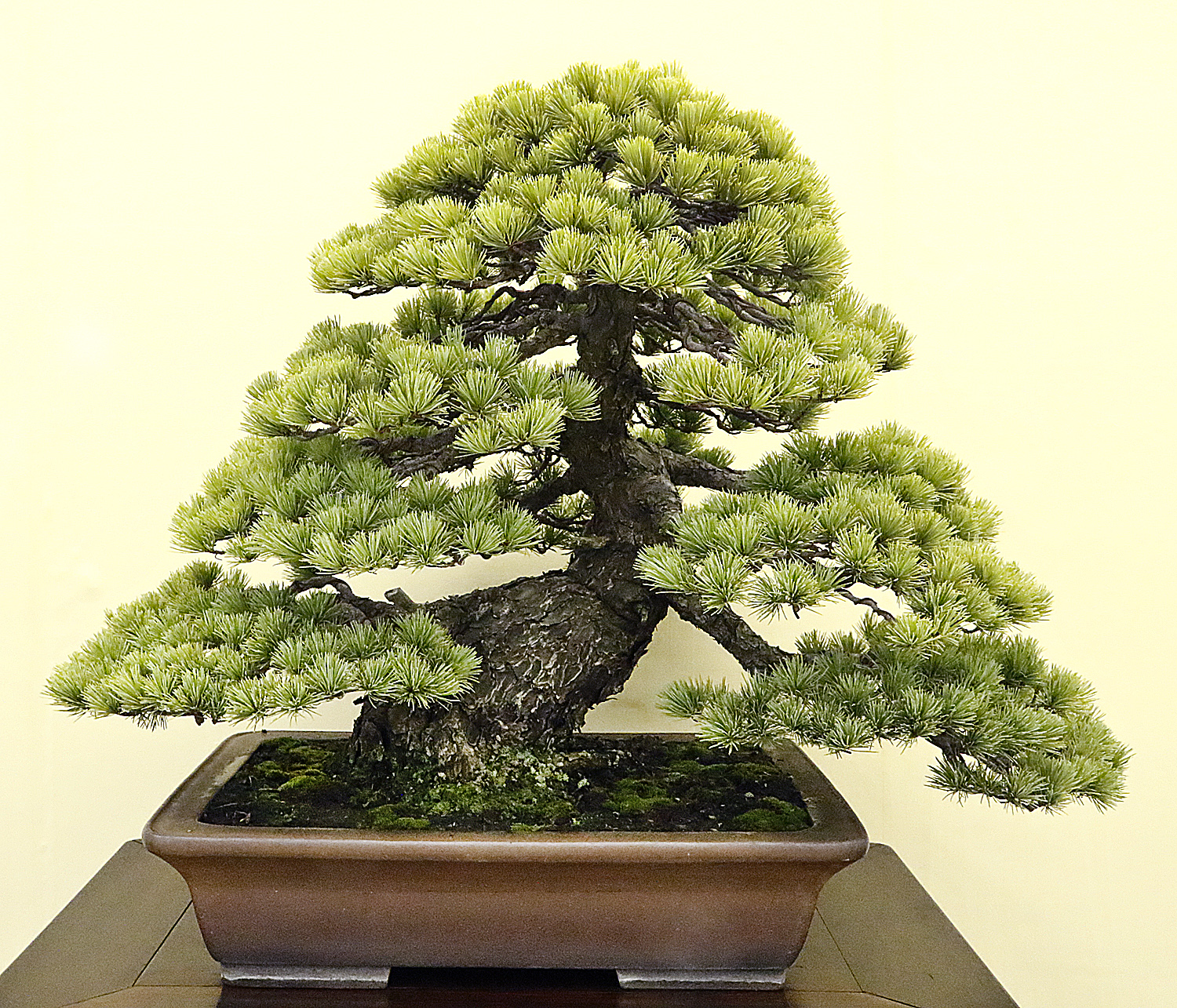 標本 WANI ルイヴィトン ラウンドファスナー長財布 ジッピーオーガナイザーNM エピ