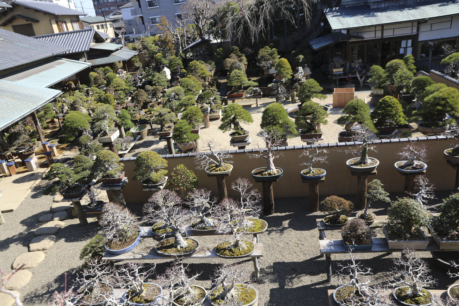 Shunka-en Bonsai Museum – Valavanis Bonsai Blog