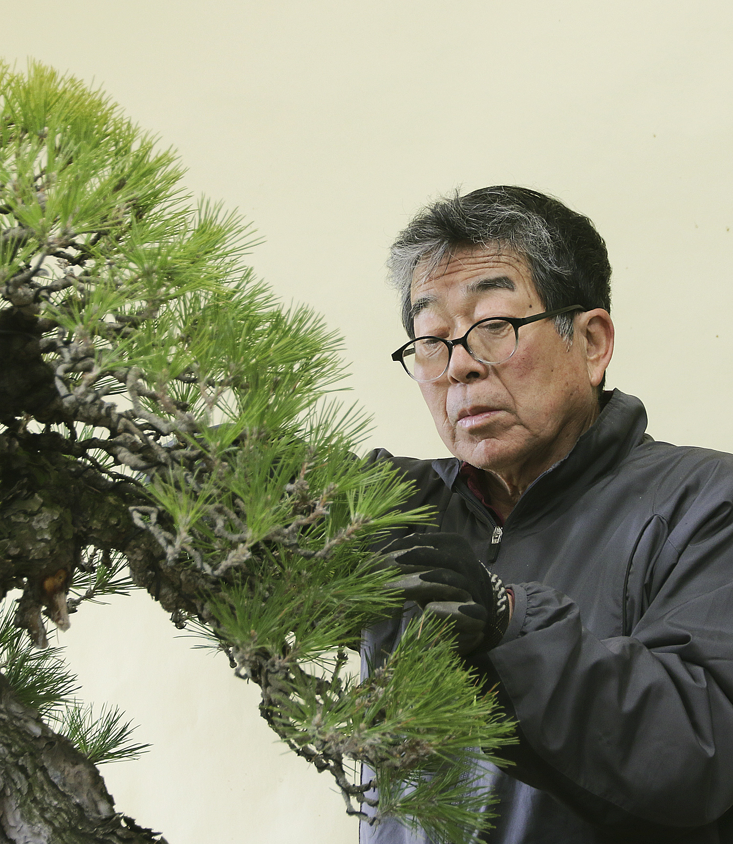 An Early Spring Visit To Shunka-en Bonsai Museum – Valavanis