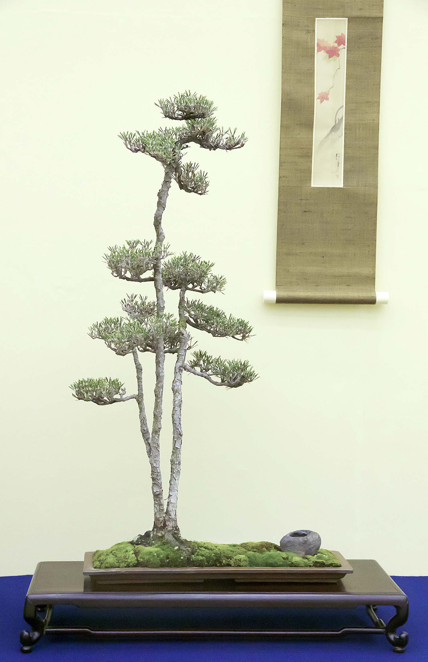 2016 Autumn Japan Bonsai Exploration– Part 4 – Valavanis Bonsai Blog