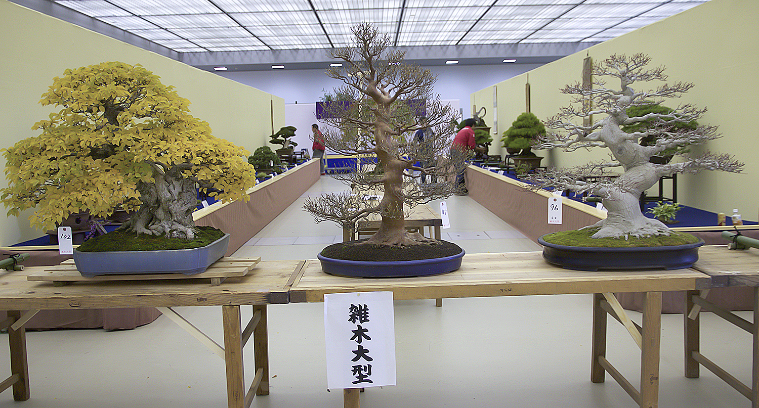 2016 Autumn Japan Bonsai Exploration– Part 4 – Valavanis Bonsai Blog