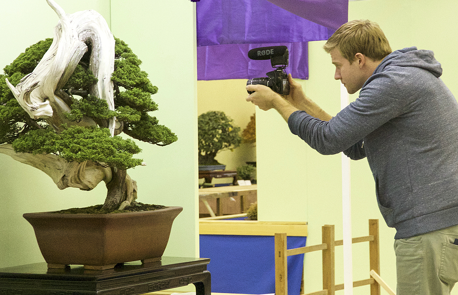 2016 Autumn Japan Bonsai Exploration– Part 4 – Valavanis Bonsai Blog
