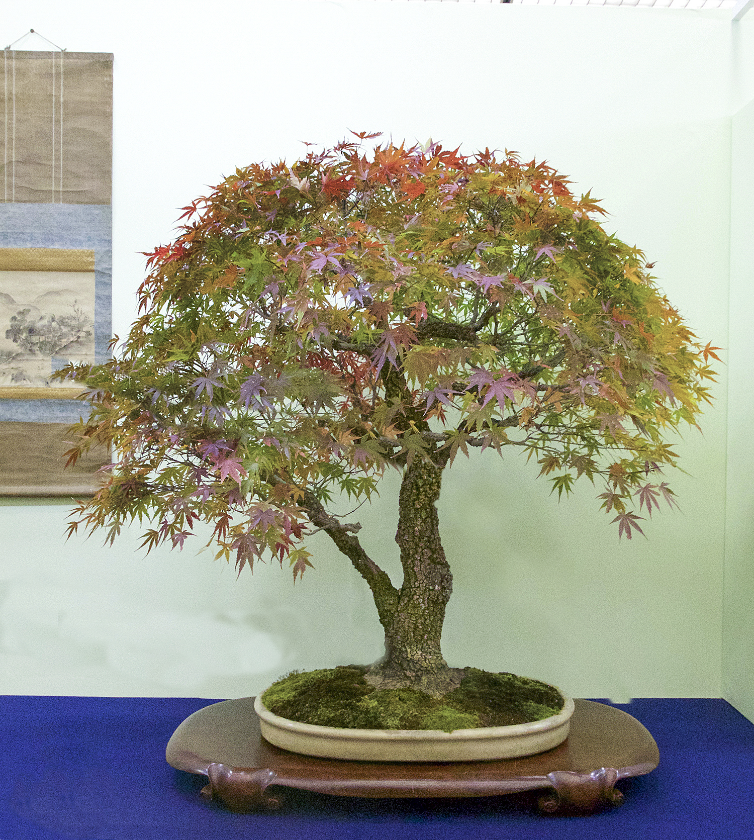 2016 Autumn Japan Bonsai Exploration– Part 5 – Valavanis Bonsai Blog