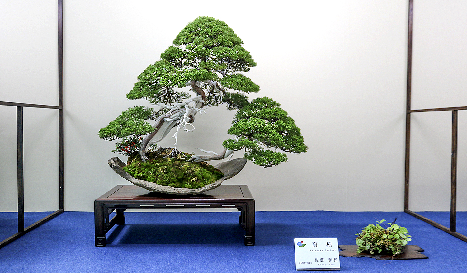 BonFactory ページ Herbert von Karajan Schubert, Beethoven Symphony No. 8 & Overtures