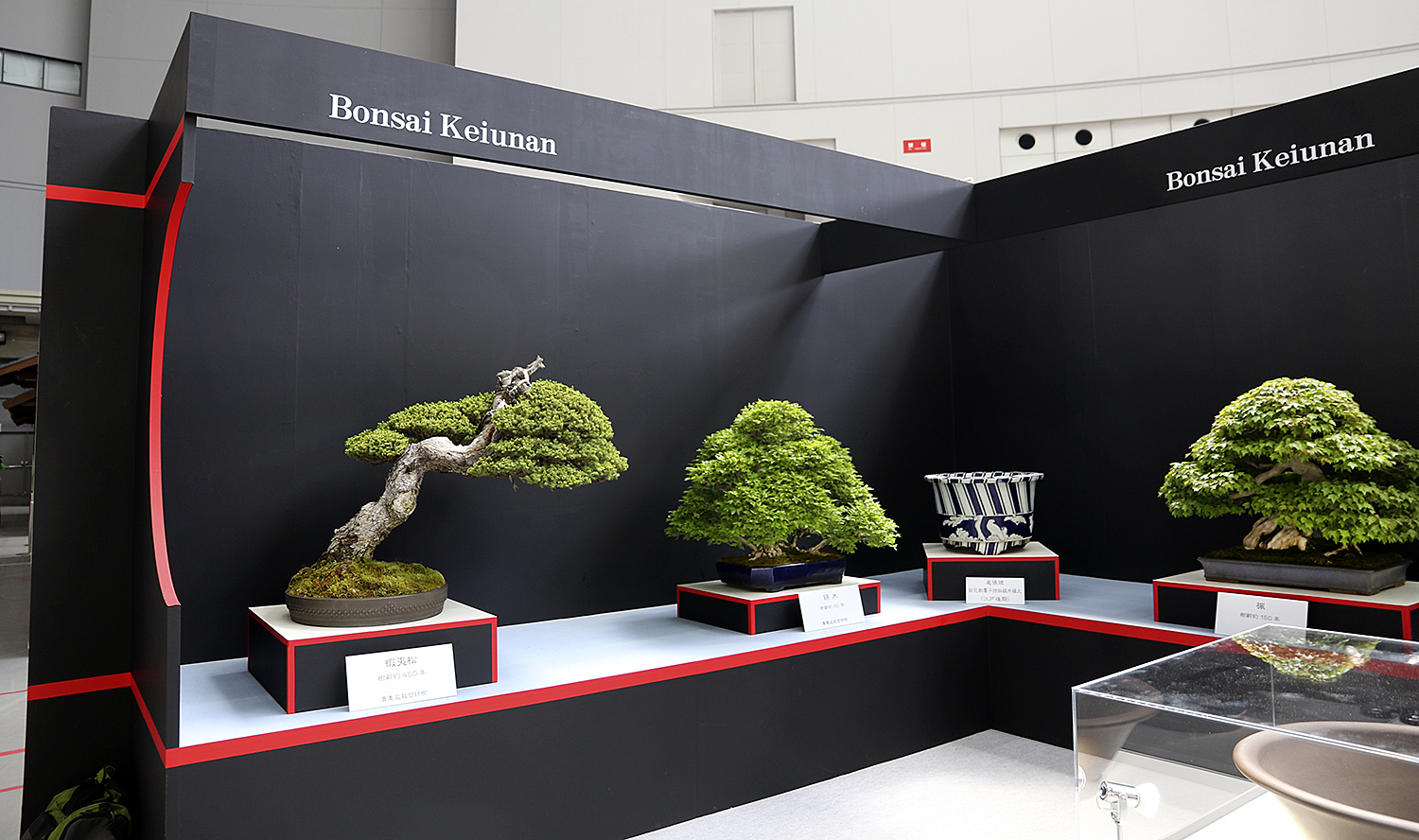 8th World Bonsai Convention in Saitama City, Japan– Part 4 Private