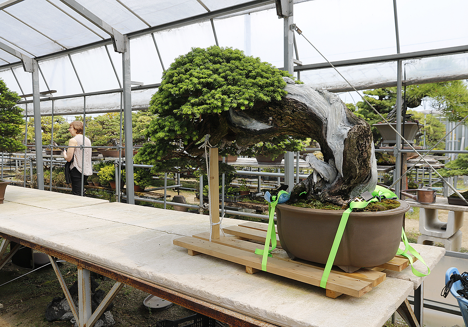 おまけ付 sound garden banbi 現sumika sumika