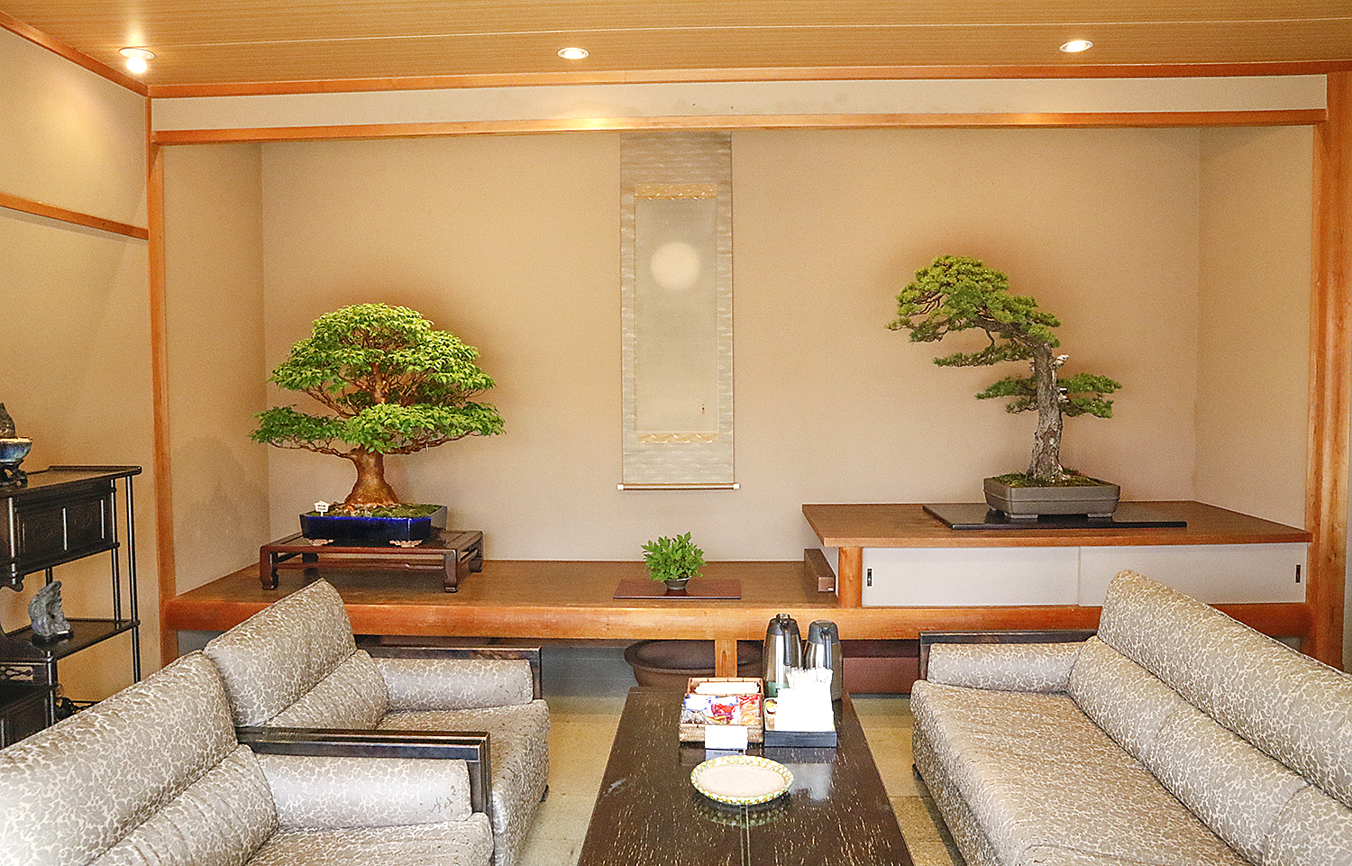 A Visit To Seiji Morimae's S-Cube & Uchiku-Tei Bonsai Garden