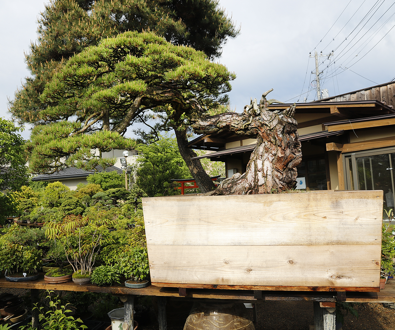 94.jpg?fit=1500,1255&ssl=1