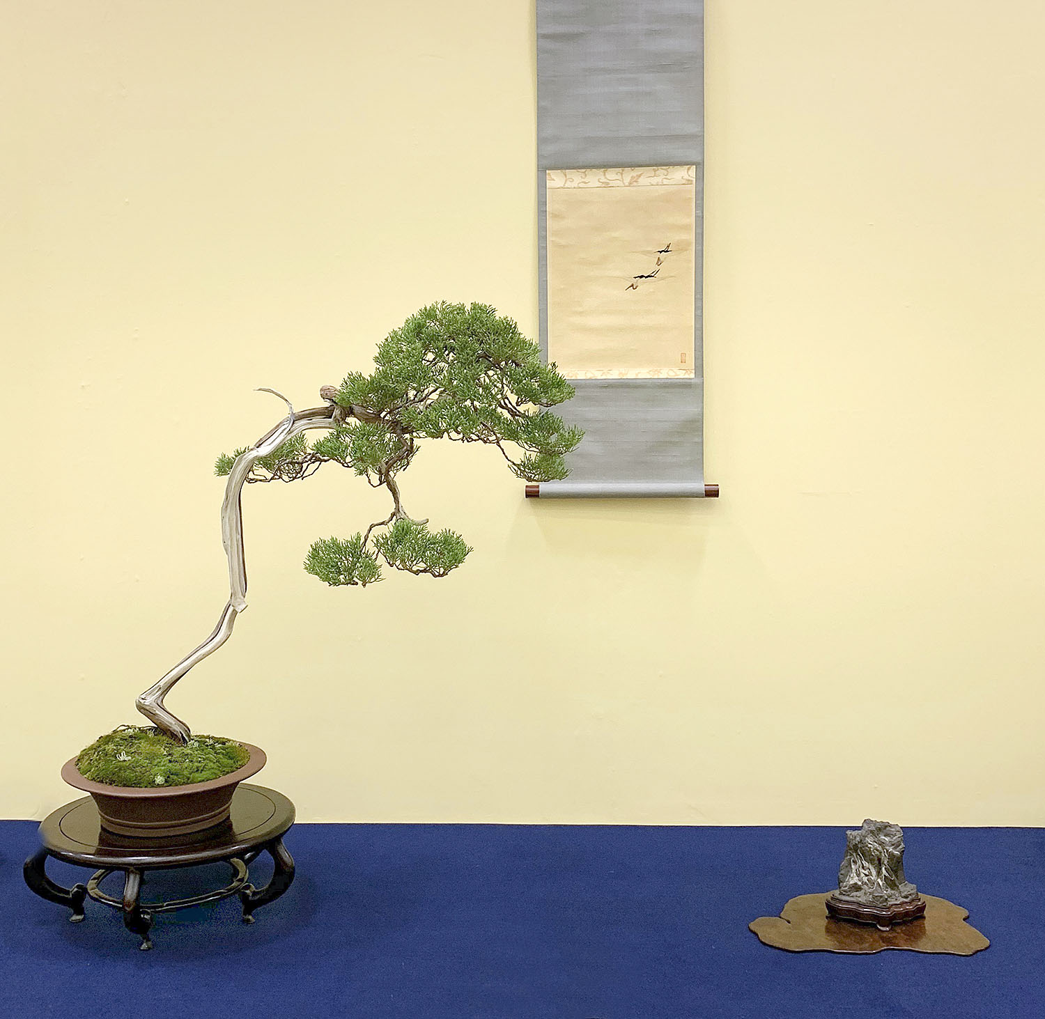 2018 38th Nippon Bonsai Taikan Exhibition Part 4 – Valavanis