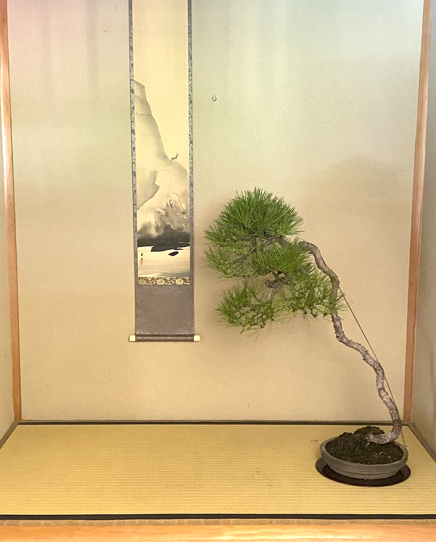 A visit To Shunka-en Bonsai Museum – Valavanis Bonsai Blog
