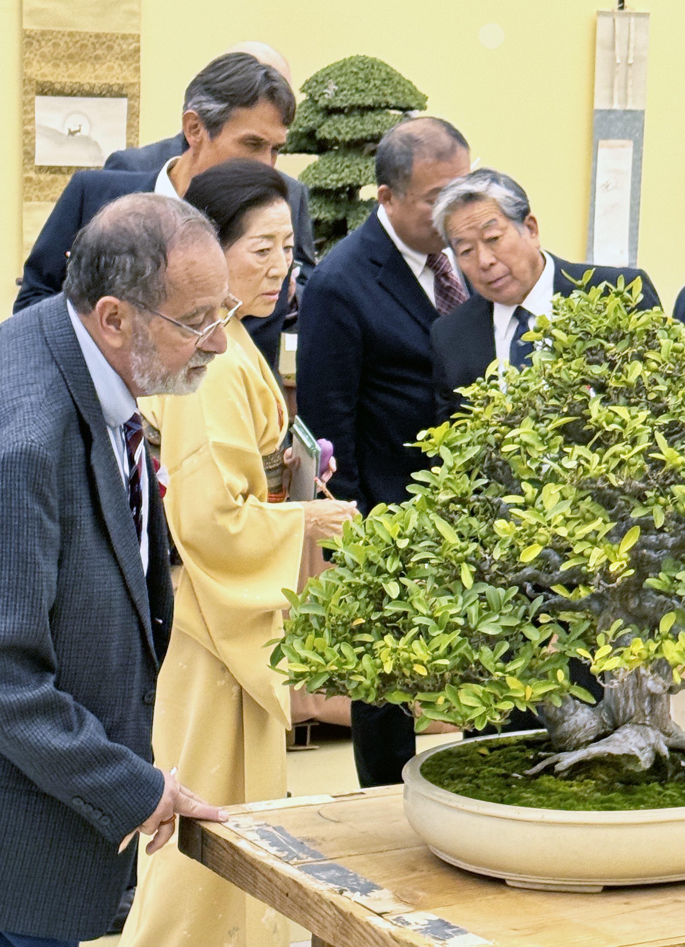 Autumn 2023 Japan Bonsai Exploration- Part 6 – Valavanis Bonsai Blog