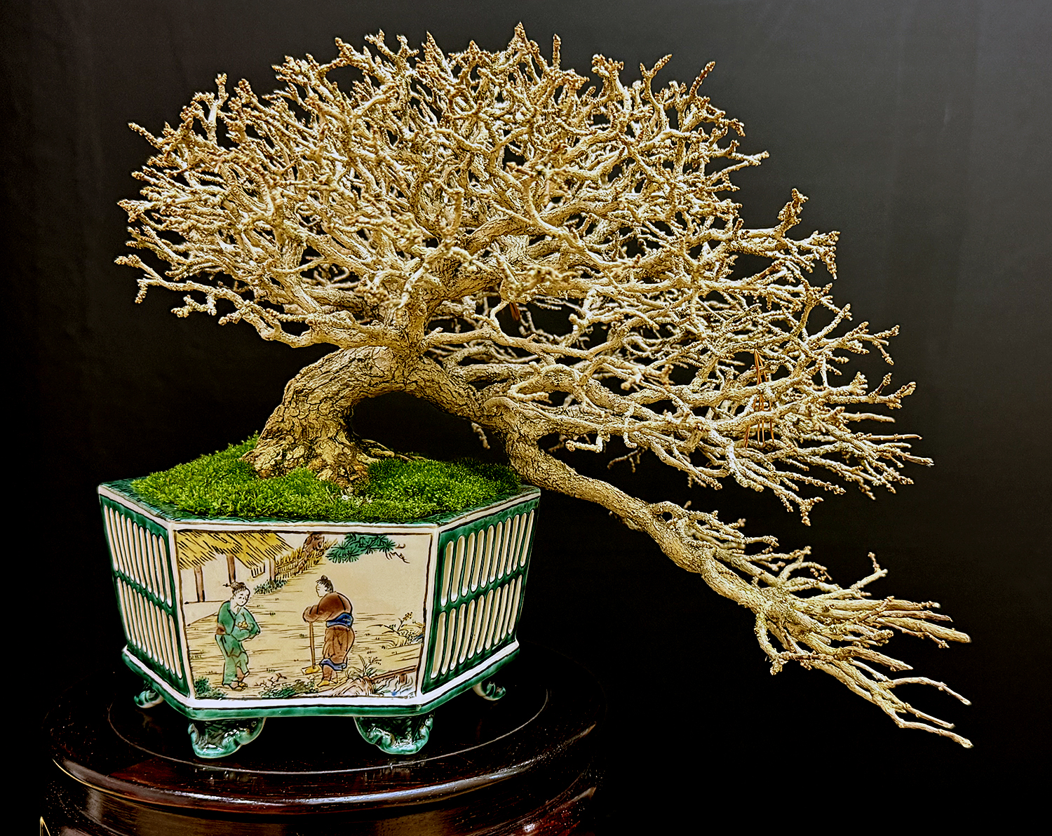 2025 50TH Gafu Ten Shohin Exhibition Part-1 – Valavanis Bonsai Blog