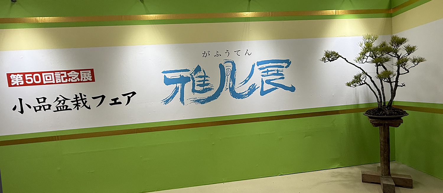 2025 50TH Gafu Ten Shohin Exhibition Part-1 – Valavanis Bonsai Blog