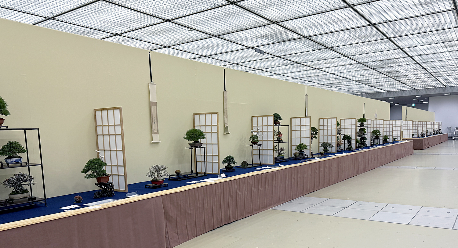 2025 50TH Gafu Ten Shohin Exhibition Part-1 – Valavanis Bonsai Blog