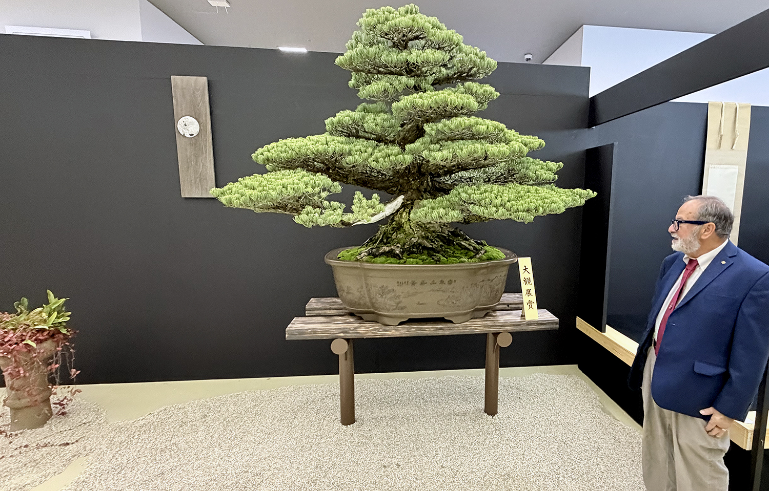 Bonsai Exhibition 2025: Highlights and Visitor Experience