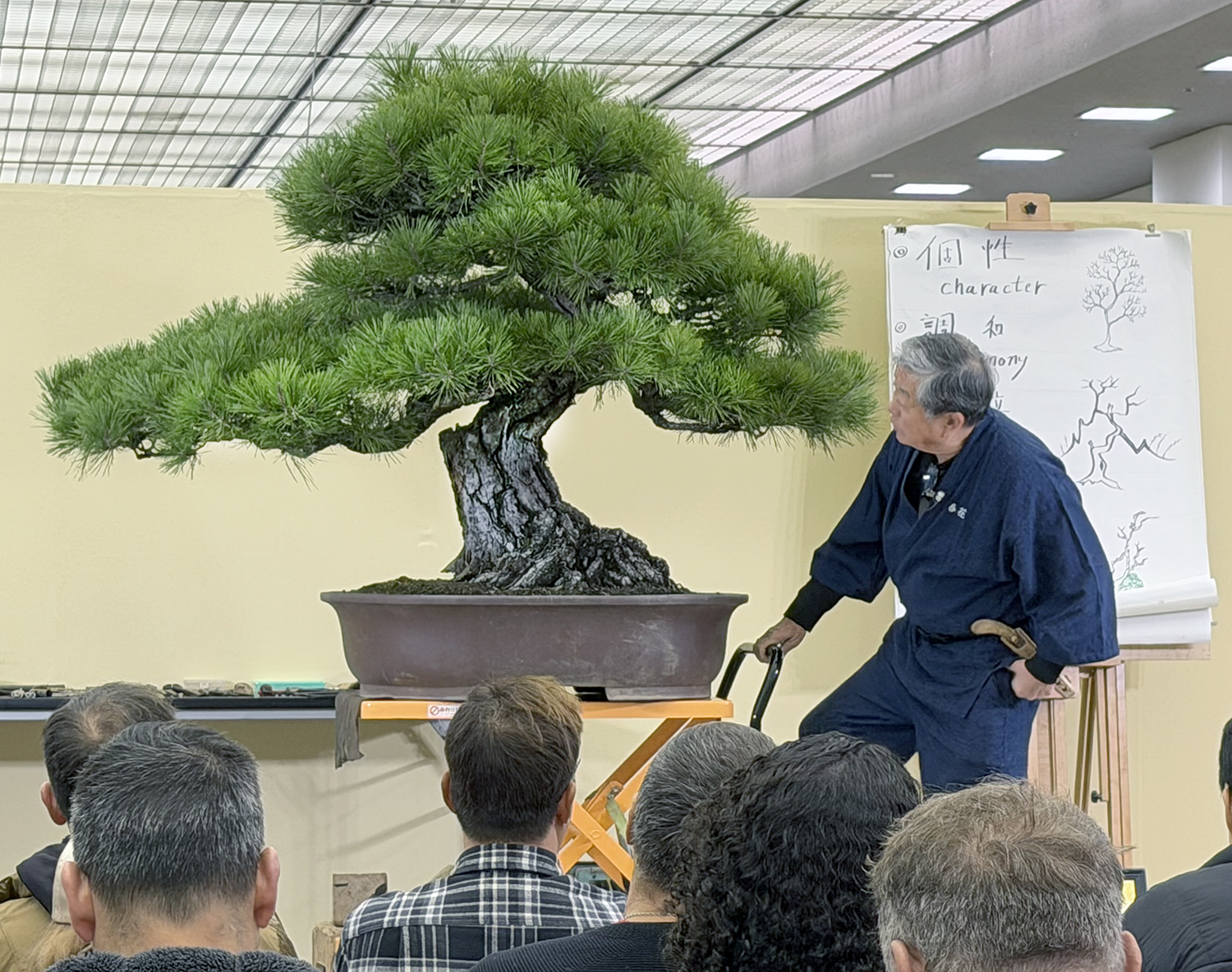 November 2025 – Valavanis Bonsai Blog