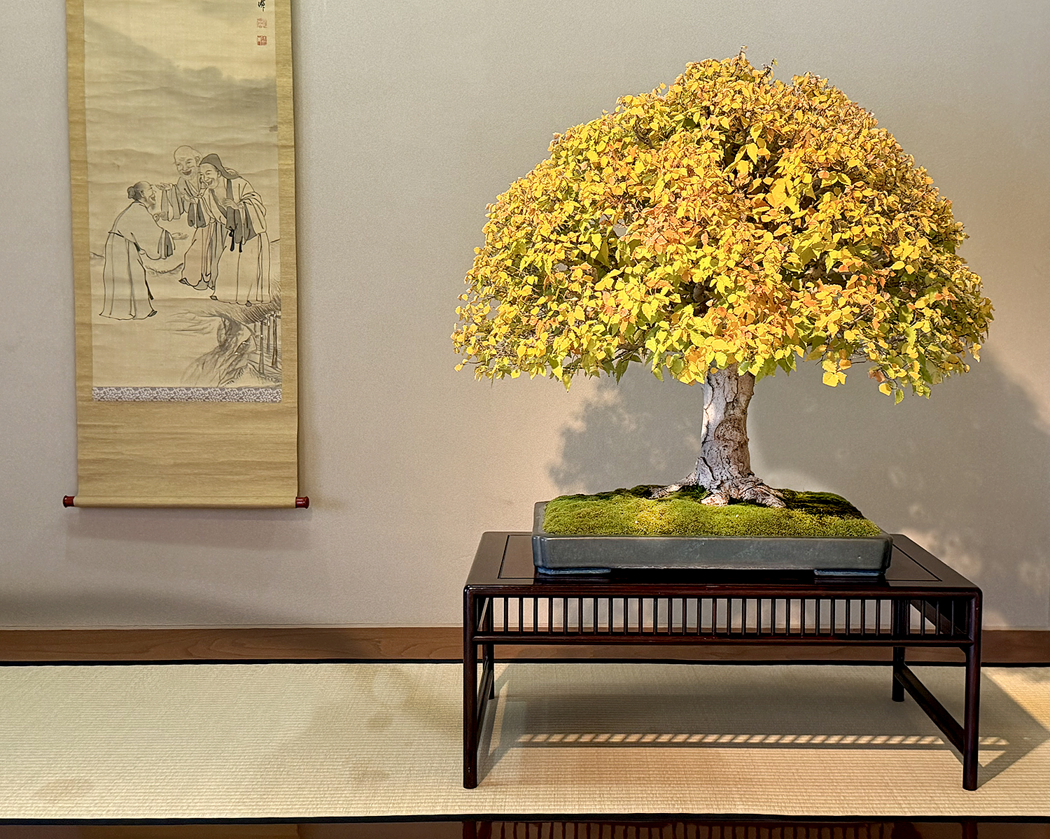 My Second Visit to Omiya Bonsai Village & More – Valavanis Bonsai Blog