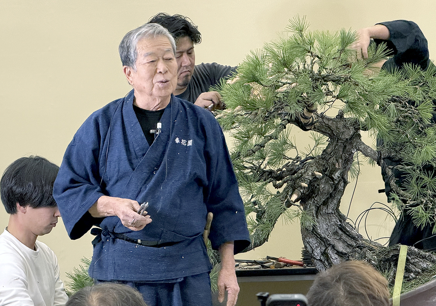 Bonsai Masterclass: Techniques from Kunio Kobayashi