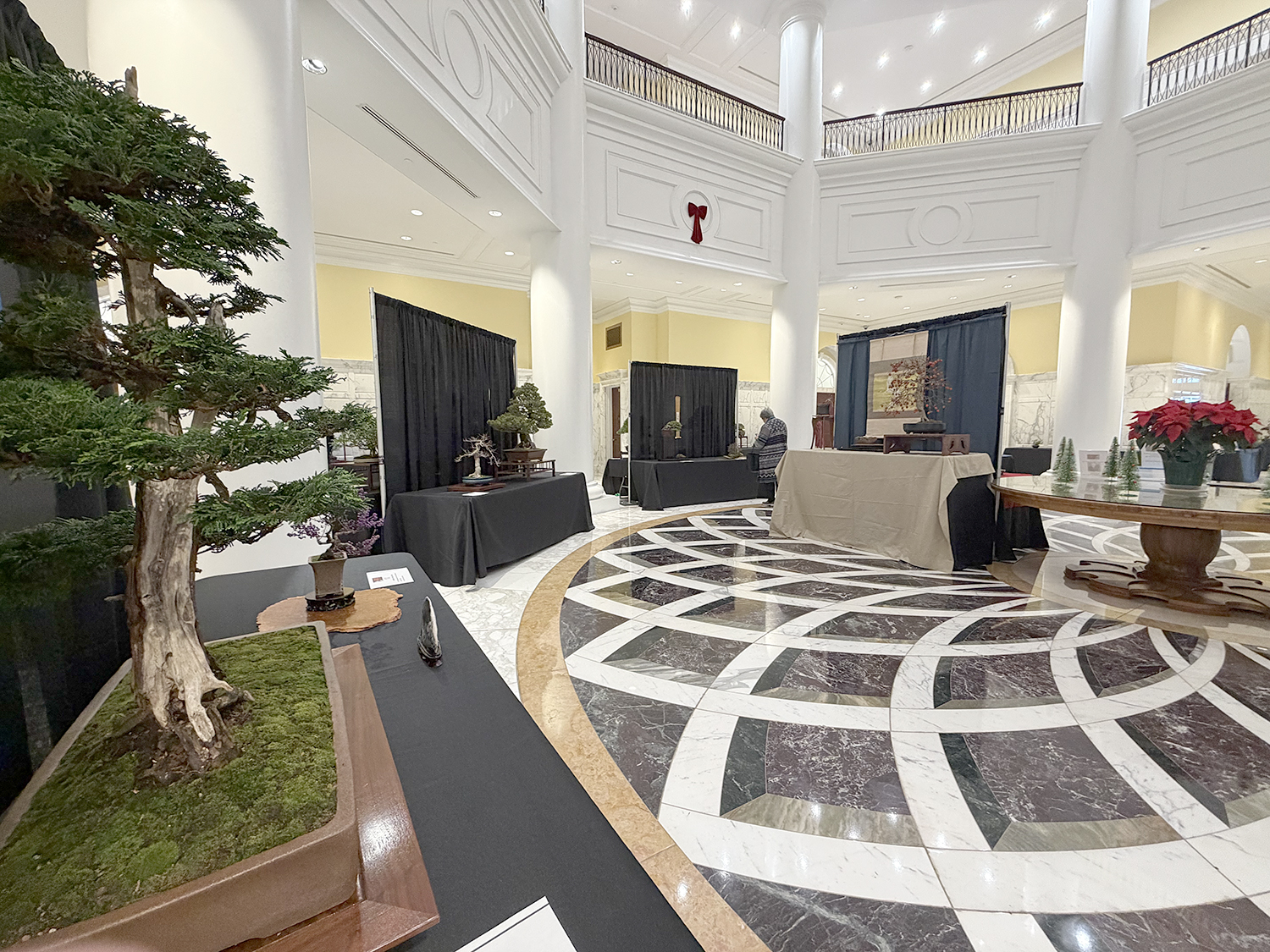 December 2025 – Valavanis Bonsai Blog