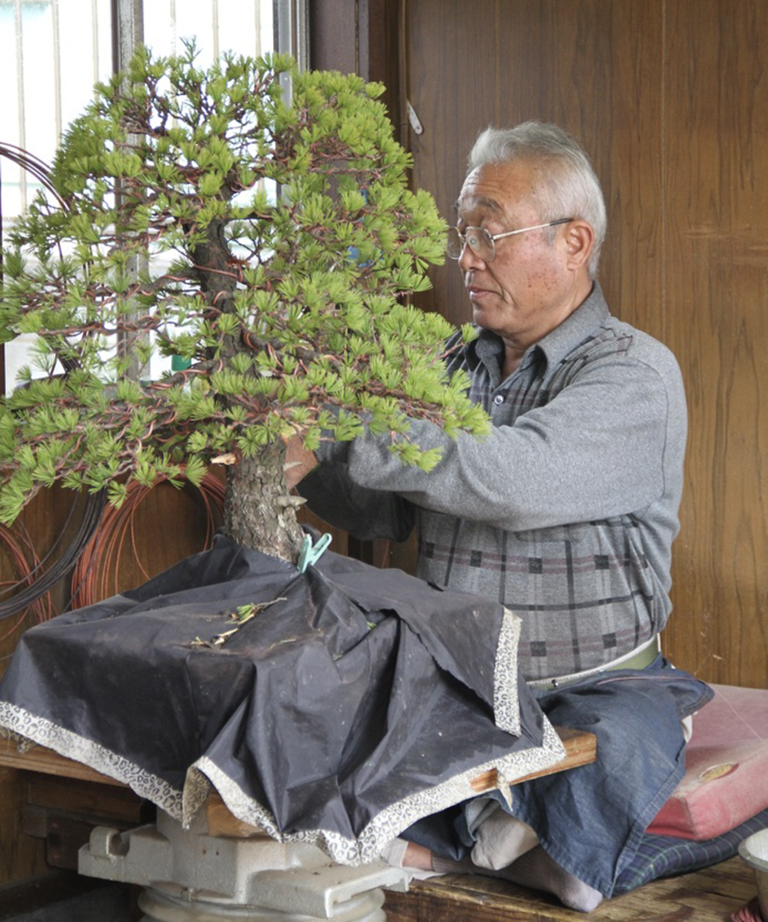 March 2026 – Valavanis Bonsai Blog