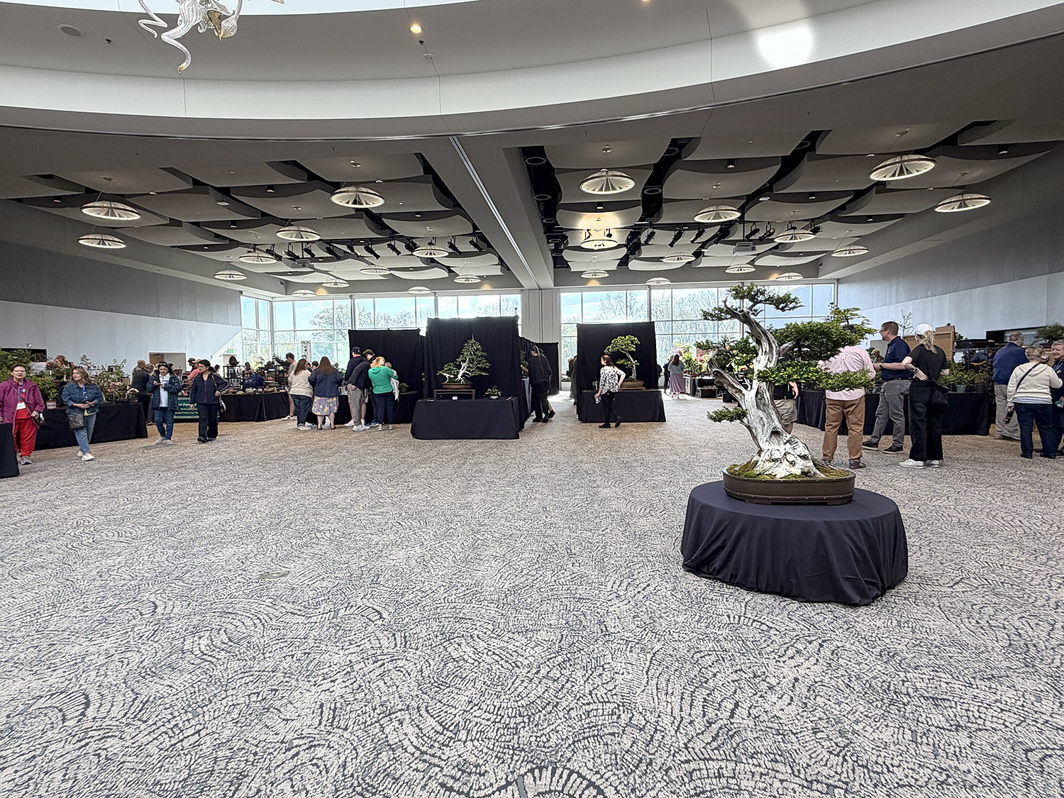 Experience the 2026 Michigan Bonsai Show at Meijer Gardens