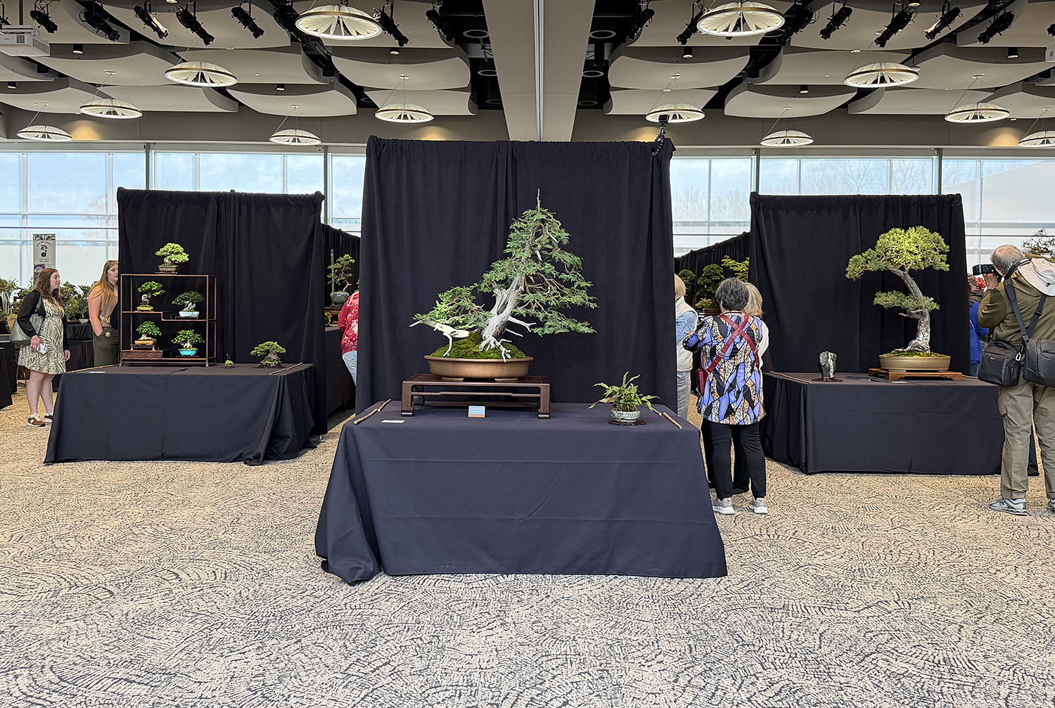 Experience the 2026 Michigan Bonsai Show at Meijer Gardens