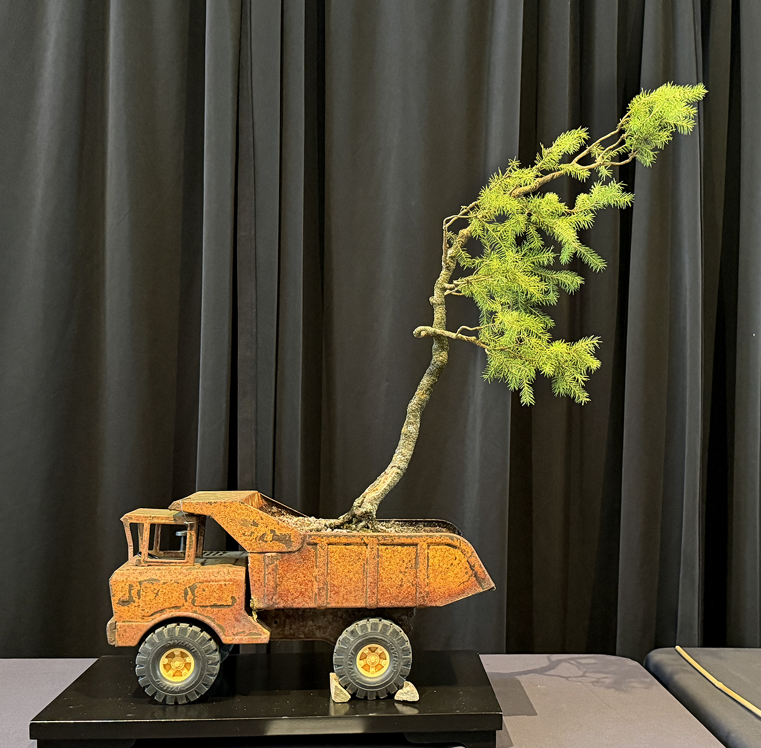 Experience the 2026 Michigan Bonsai Show at Meijer Gardens
