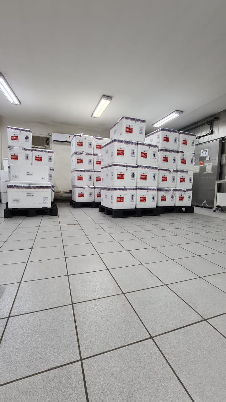 Ingrid Vasconcelos (1)